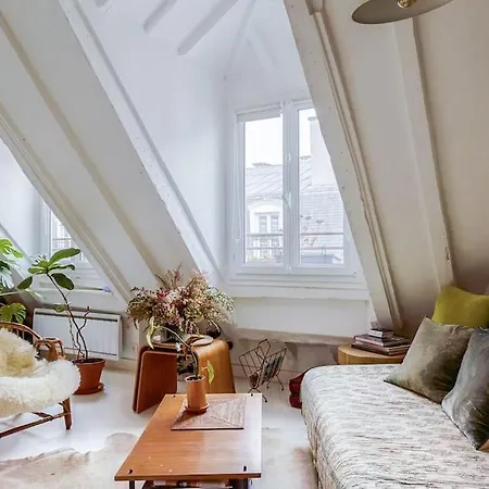 Bastille Duplex Sous Les Toits Paris